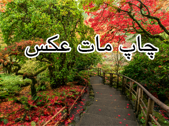 چاپ مات